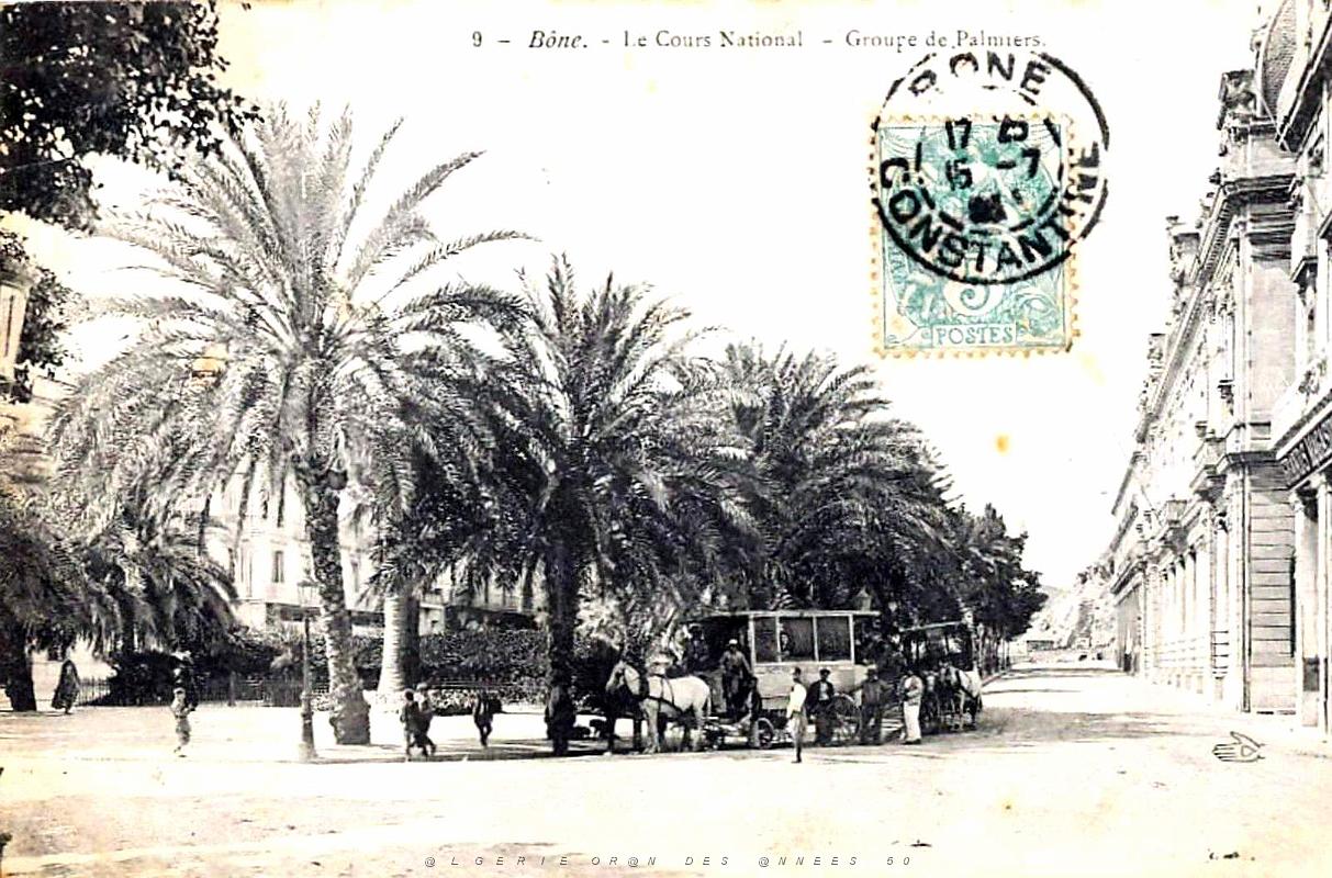Bone - Le Cours National futur Bertagna - Les Palmiers.jpg
